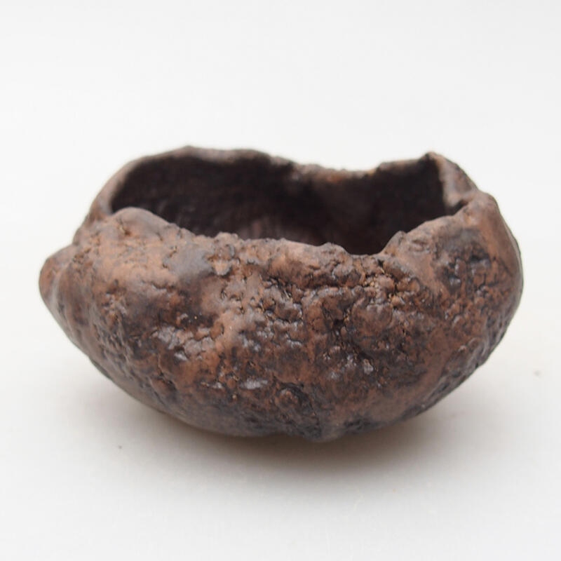 Kerámia kagyló 7,5 x 7 x 4,5 cm , barna színű