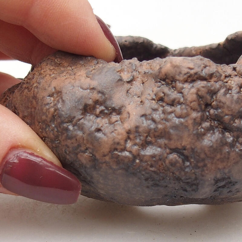 Kerámia kagyló 7,5 x 7 x 4,5 cm , barna színű