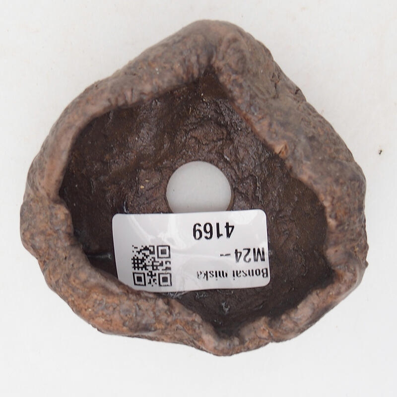 Kerámia kagyló 7,5 x 7 x 4,5 cm , barna színű