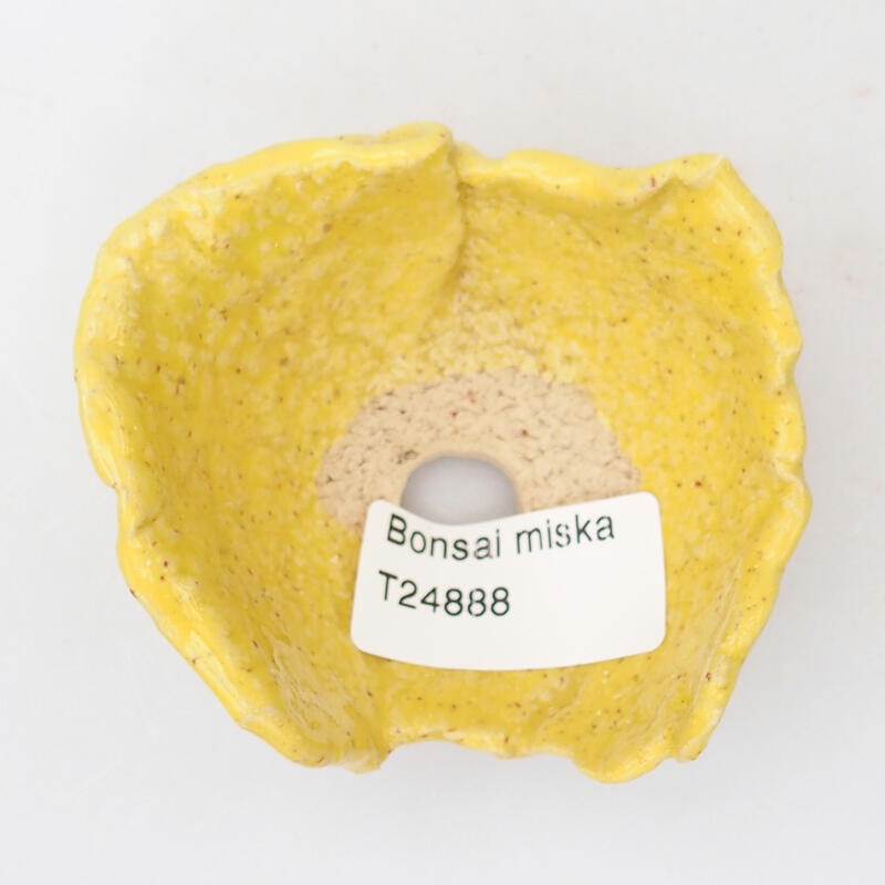 Kerámia kagyló 7,5 x 7 x 4 cm , sárga színű