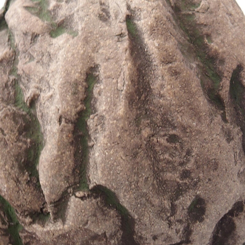 Kerámia kagyló 7,5 x 7 x 5 cm , zöld színű