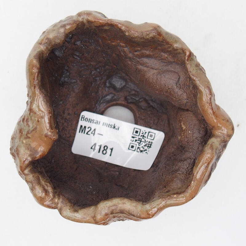 Kerámia kagyló 7,5 x 7 x 6 cm , sárga színű