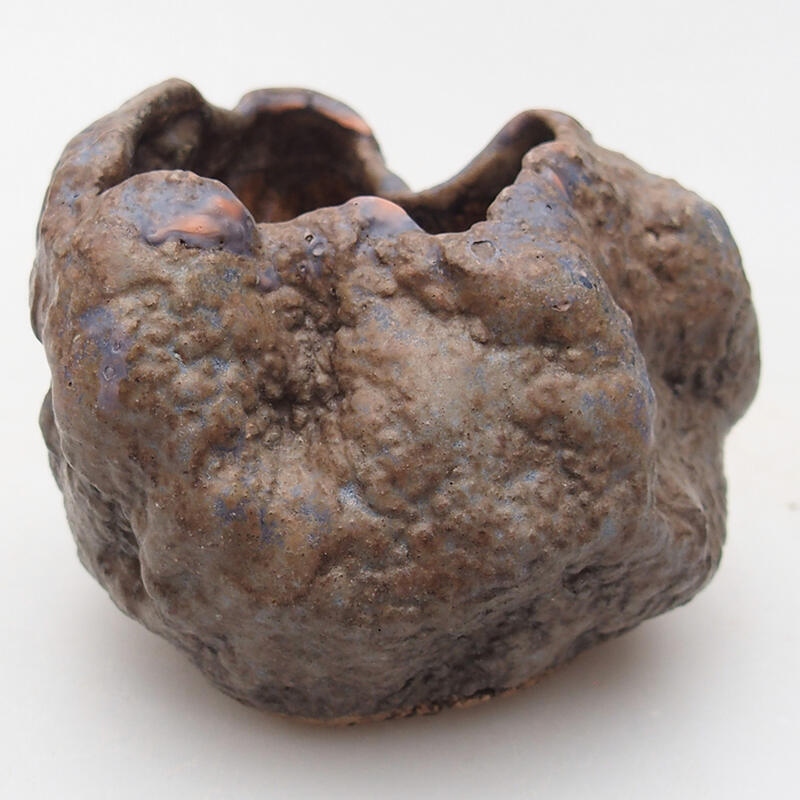 Kerámia kagyló 7 x 4,5 x 6 cm , barna színű