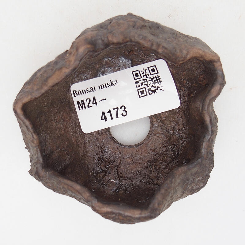 Kerámia kagyló 7 x 6,5 x 4 cm , barna színű