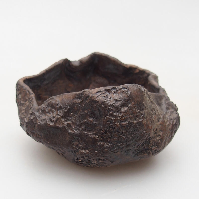 Kerámia kagyló 7 x 6,5 x 4 cm , barna színű