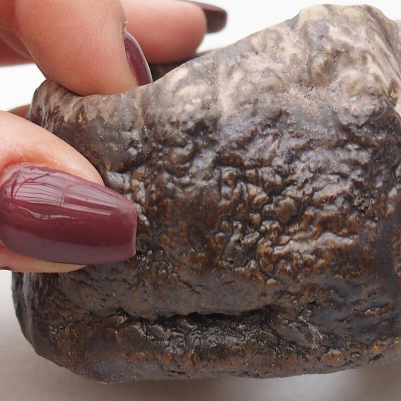 Kerámia kagyló 7 x 6,5 x 4 cm , barna színű