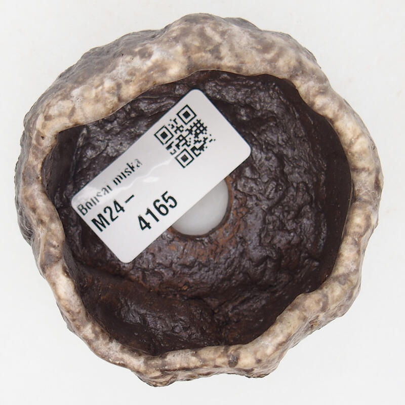 Kerámia kagyló 7 x 6,5 x 4 cm , barna színű