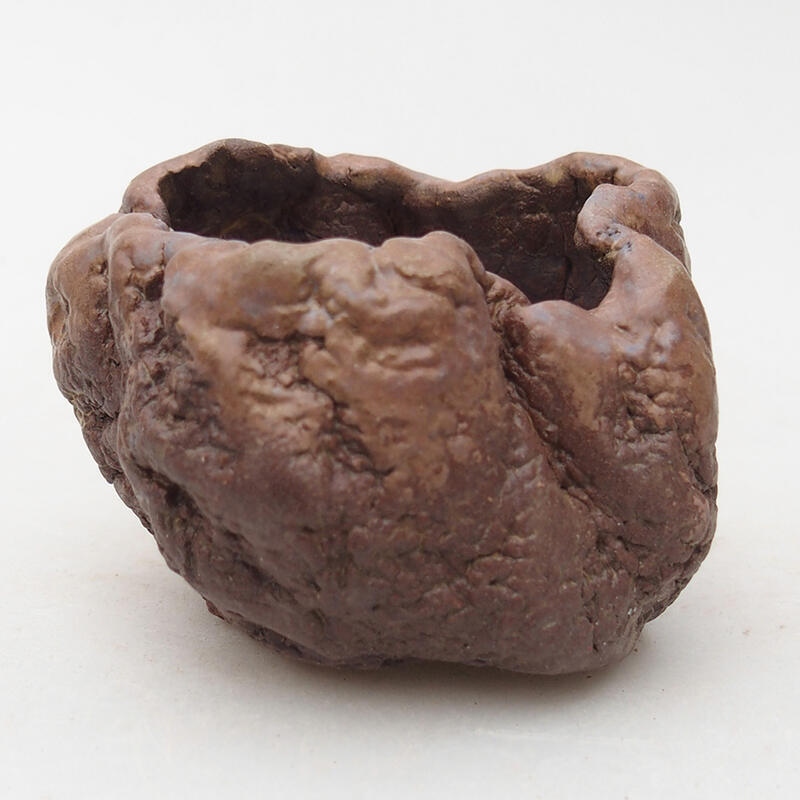 Kerámia kagyló 7 x 6,5 x 5,5 cm , barna színű