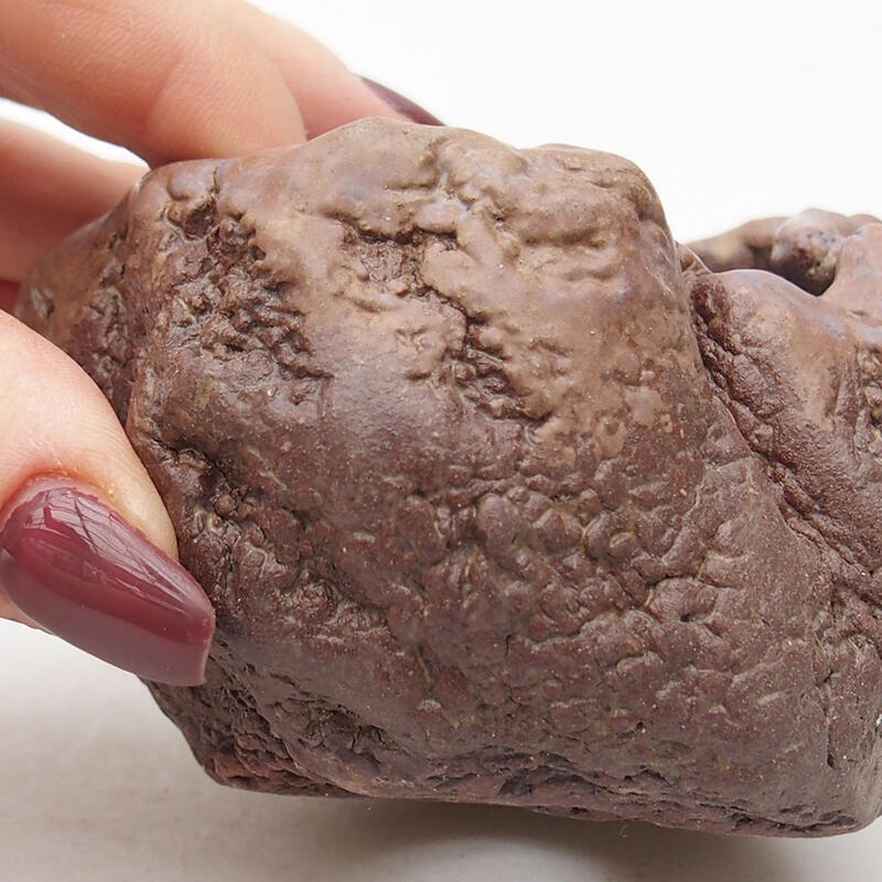 Kerámia kagyló 7 x 6,5 x 5,5 cm , barna színű