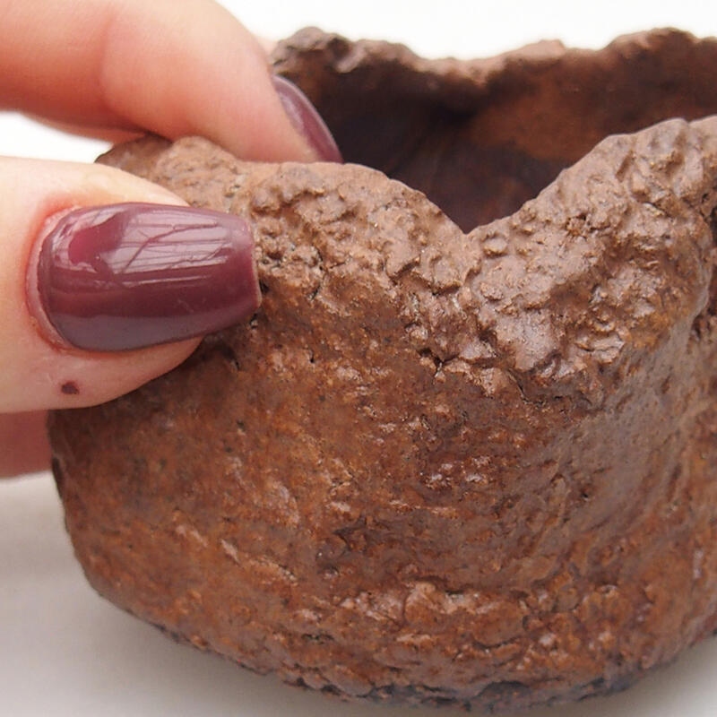 Kerámia kagyló 7 x 6,5 x 5,5 cm , barna színű