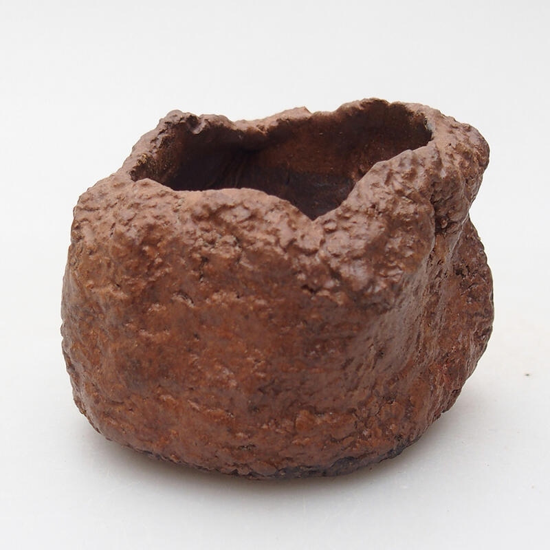 Kerámia kagyló 7 x 6,5 x 5,5 cm , barna színű