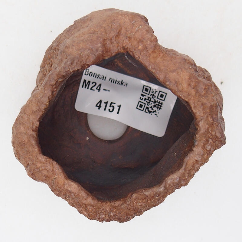 Kerámia kagyló 7 x 6,5 x 5,5 cm , barna színű