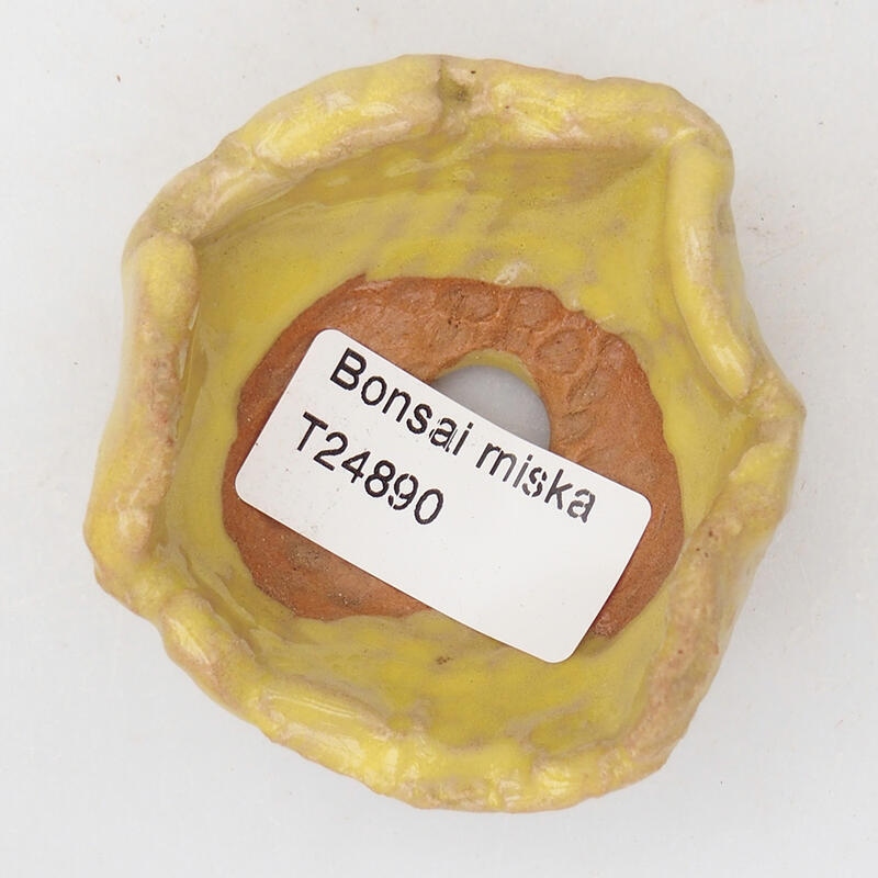 Kerámia kagyló 7 x 6 x 3,5 cm , sárga