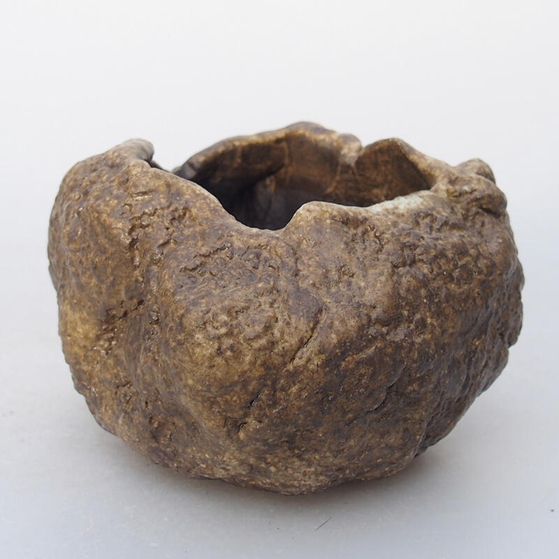 Kerámia kagyló 7 x 6 x 5,5 cm , bézs színű