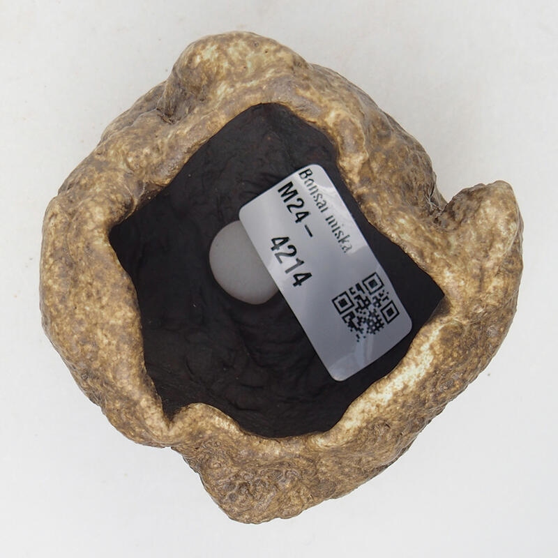 Kerámia kagyló 7 x 6 x 5,5 cm , bézs színű