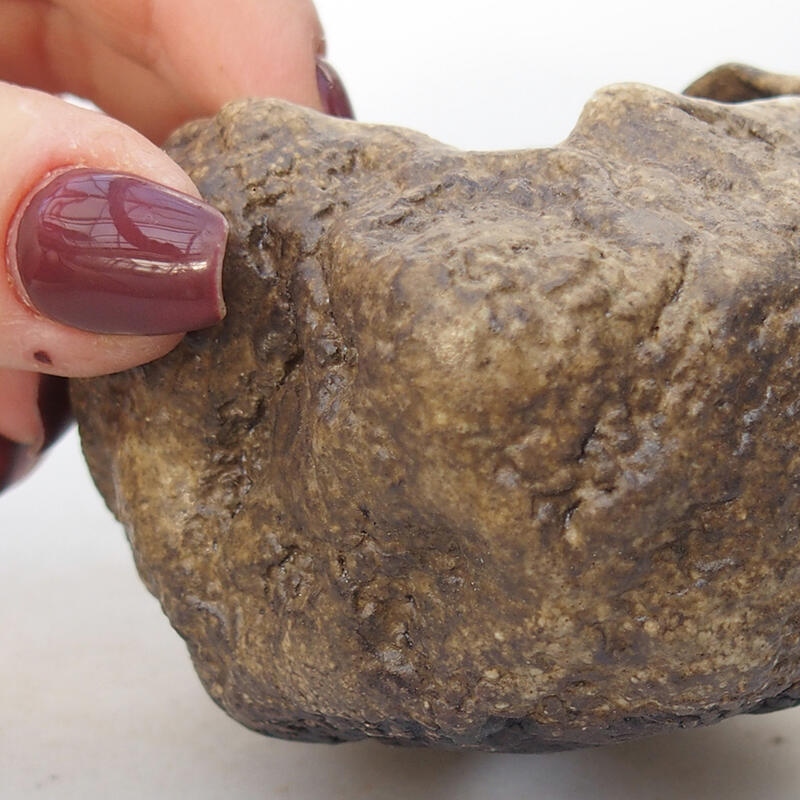 Kerámia kagyló 7 x 6 x 5,5 cm , bézs színű