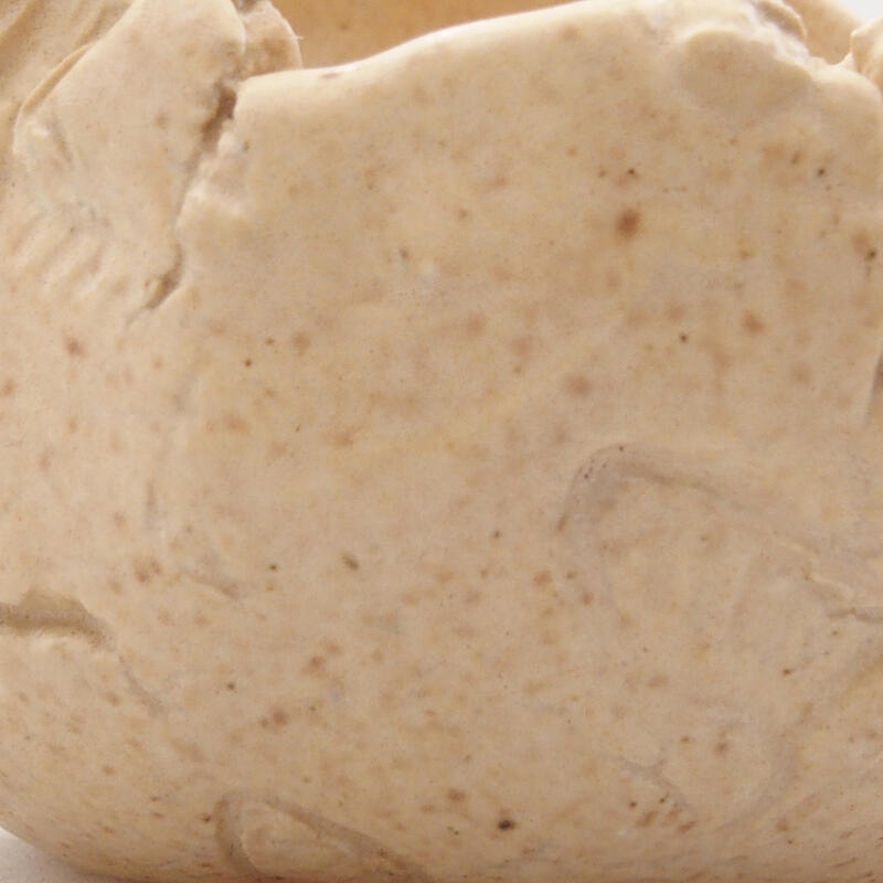 Kerámia kagyló 7 x 6 x 6 cm , bézs színű