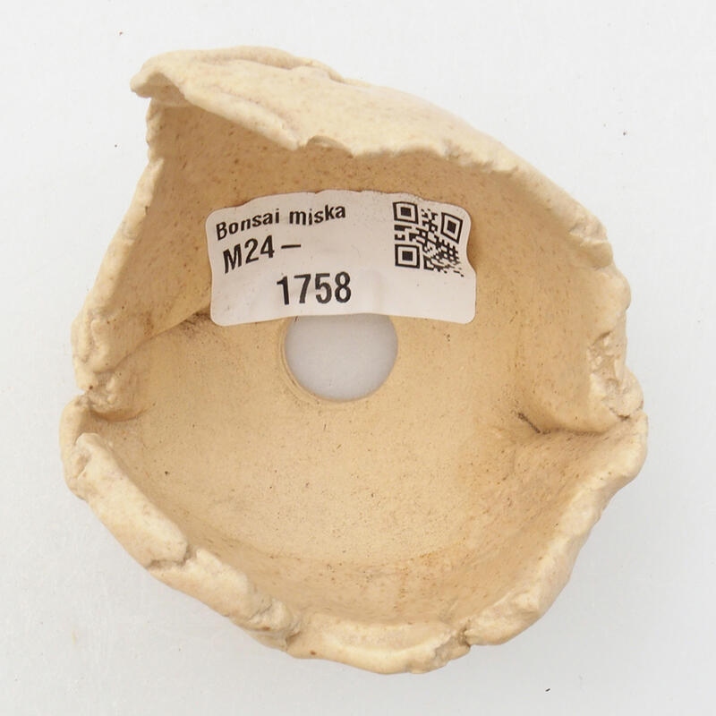 Kerámia kagyló 7 x 6 x 6 cm , bézs színű