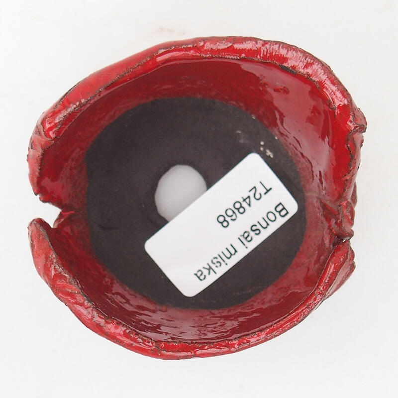 Kerámia kagyló 7 x 7 x 4,5 cm , piros színű