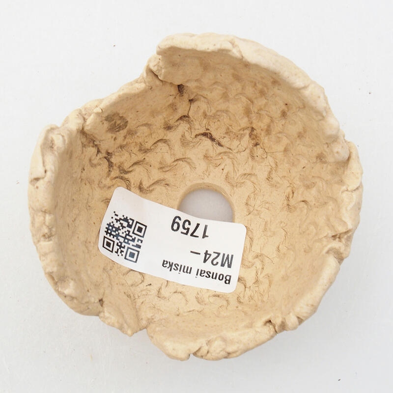 Kerámia kagyló 7 x 7 x 5,5 cm , bézs színű