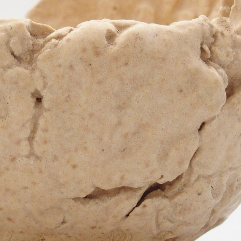 Kerámia kagyló 7 x 7 x 5,5 cm , bézs színű