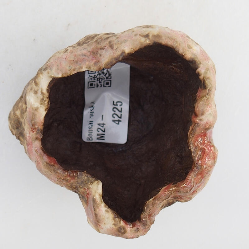 Kerámia kagyló 7 x 7 x 5,5 cm , rózsaszín színben