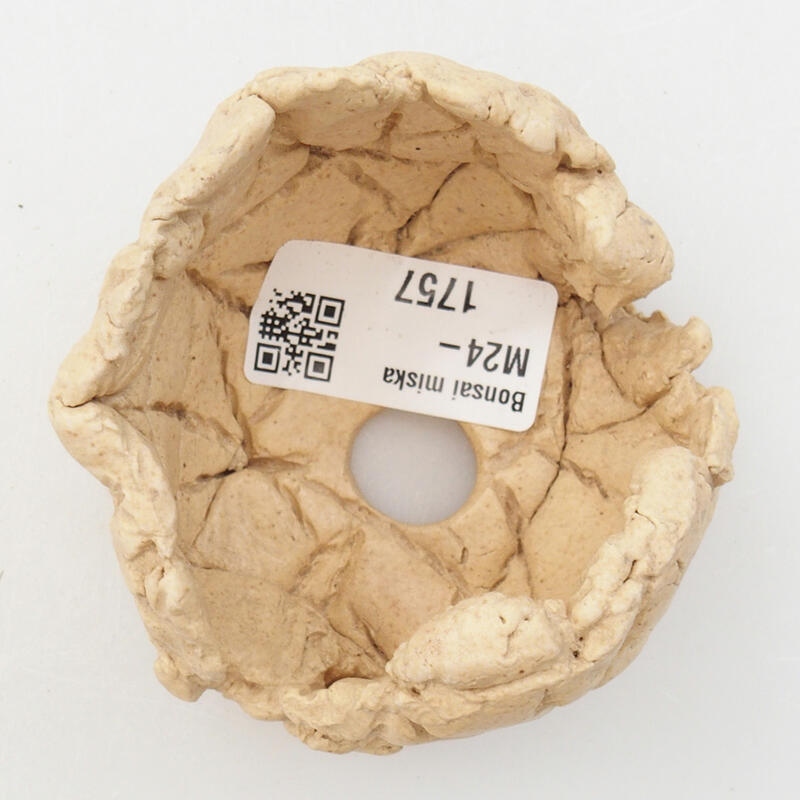 Kerámia kagyló 7 x 7 x 5 cm , bézs színű