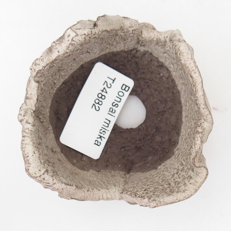 Kerámia kagyló 7 x 7 x 5 cm , szürke színű