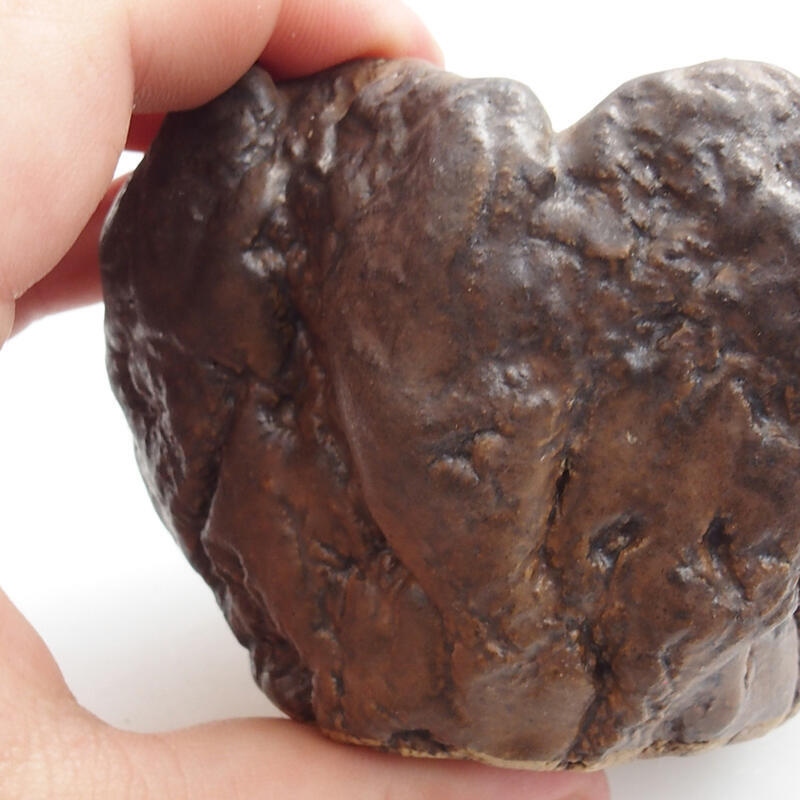 Kerámia kagyló 7 x 7 x 6 cm , színe zöld-barna