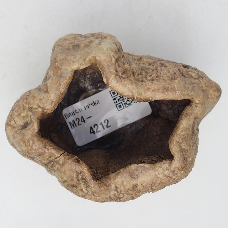 Kerámia kagyló 8,5 x 6,5 x 6 cm , bézs színű