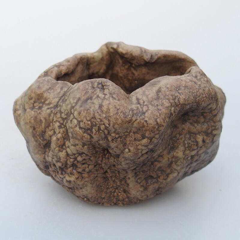 Kerámia kagyló 8,5 x 6,5 x 6 cm , bézs színű