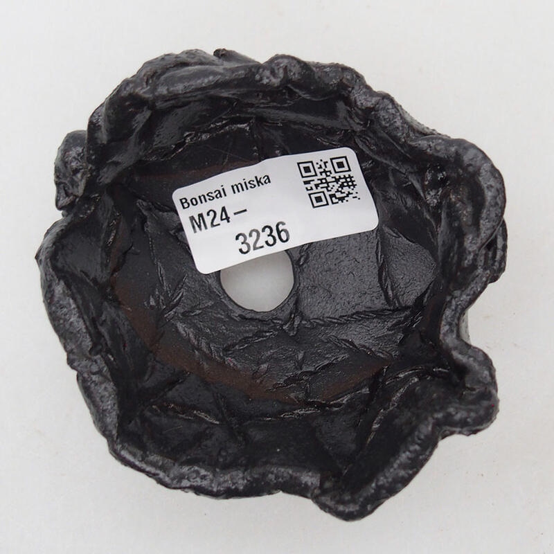 Kerámia kagyló 8,5 x 7,5 x 6 cm , fekete színben