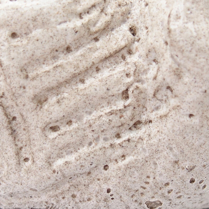 Kerámia kagyló 8,5 x 7 x 5 cm , szürke színben