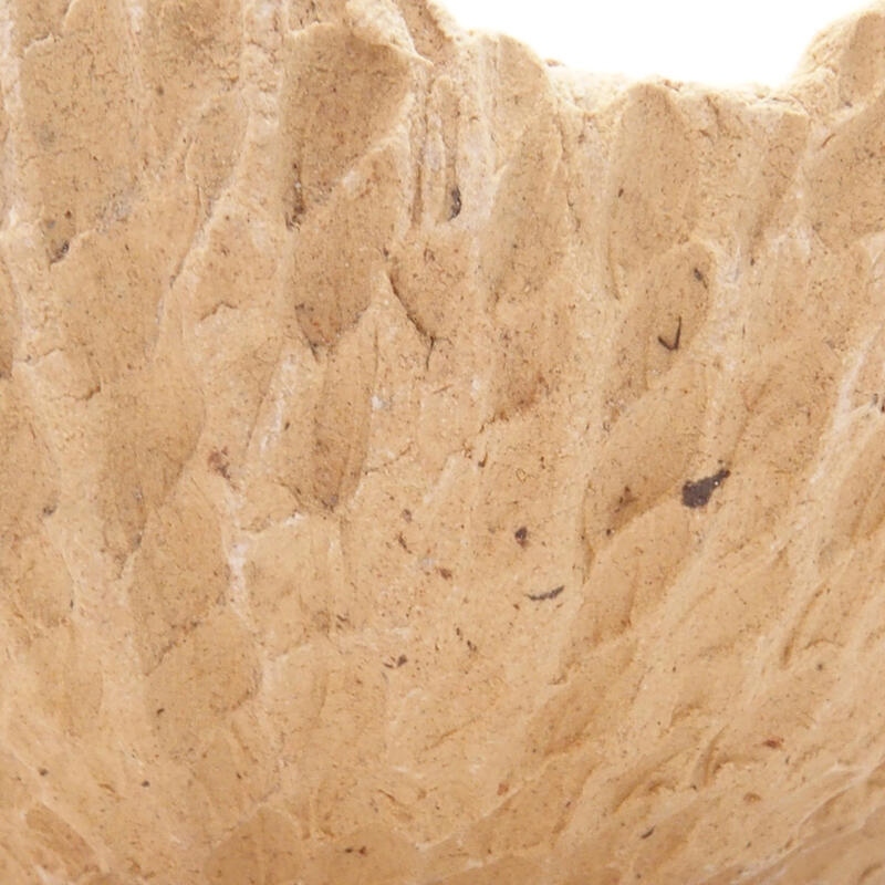 Kerámia kagyló 8,5 x 8,5 x 4,5 cm , bézs színű