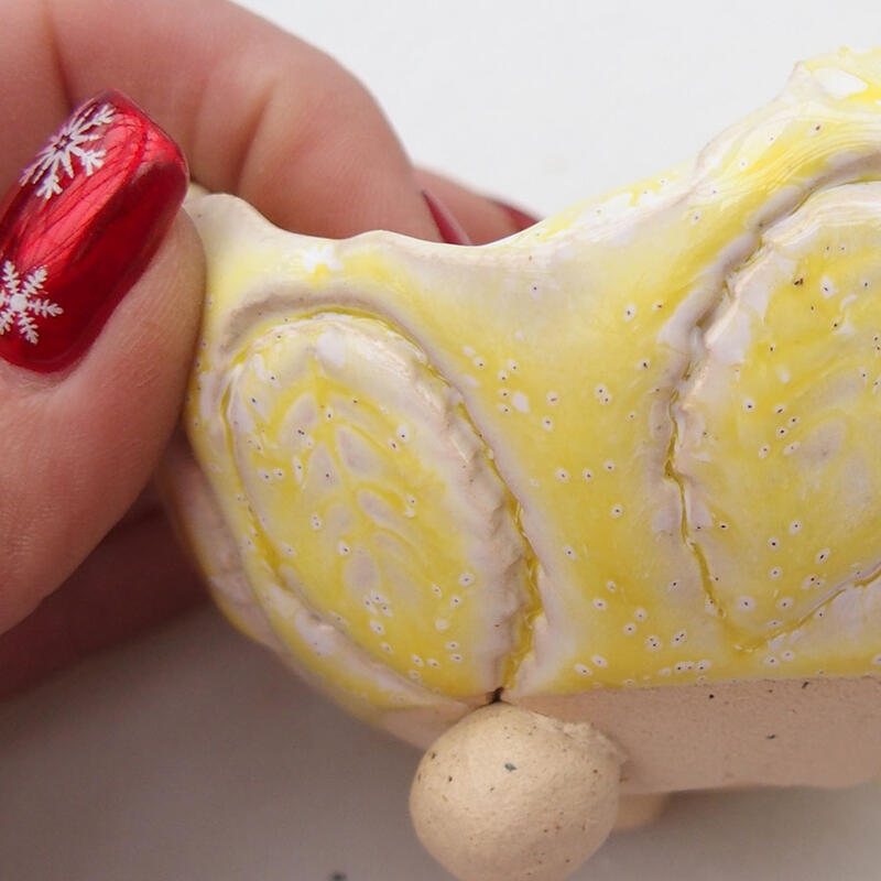 Kerámia kagyló 8,5 x 8,5 x 5,5 cm , fehér-sárga színű