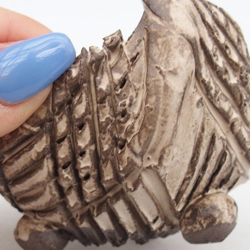 Kerámia kagyló 8,5 x 8,5 x 6 cm , bézs színű