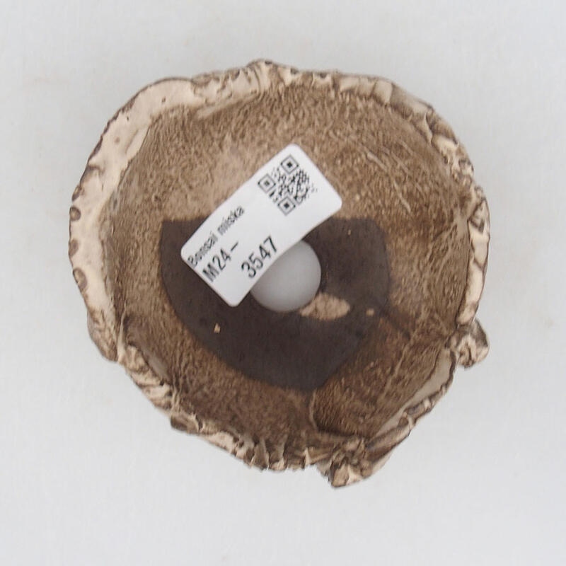 Kerámia kagyló 8,5 x 8,5 x 6 cm , bézs színű