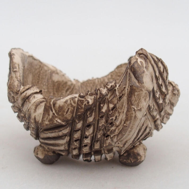 Kerámia kagyló 8,5 x 8,5 x 6 cm , bézs színű