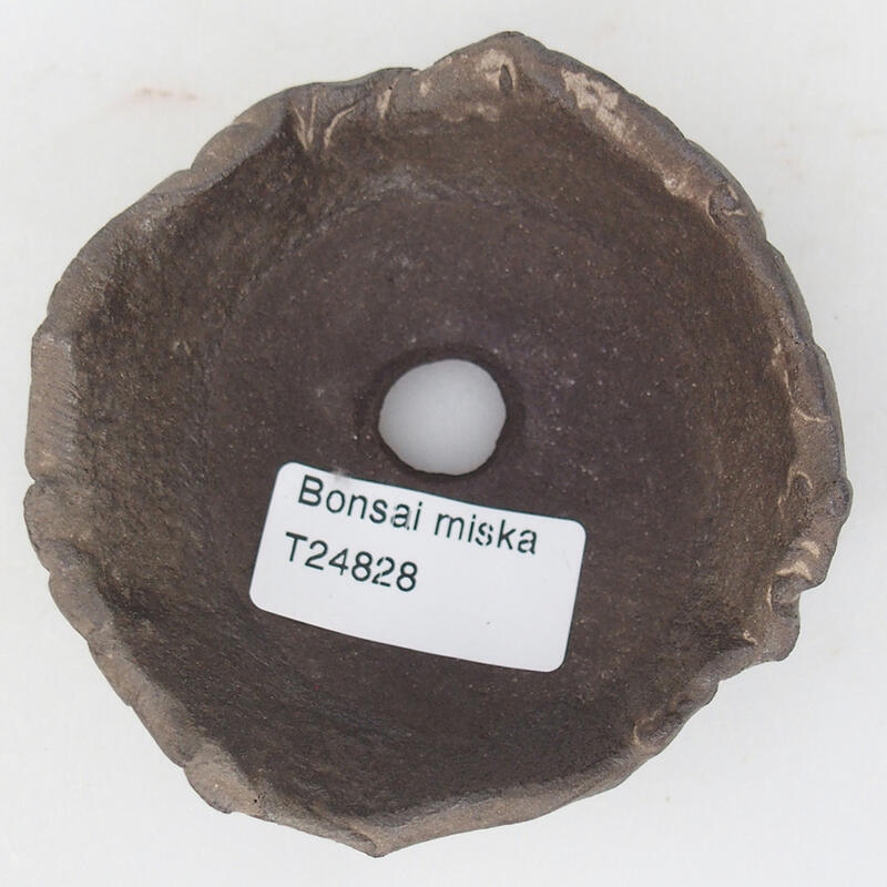 Kerámia kagyló 8,5 x 8 x 4 cm , barna színű