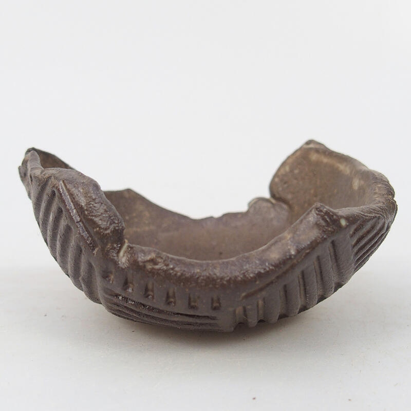 Kerámia kagyló 8,5 x 8 x 4 cm , barna színű