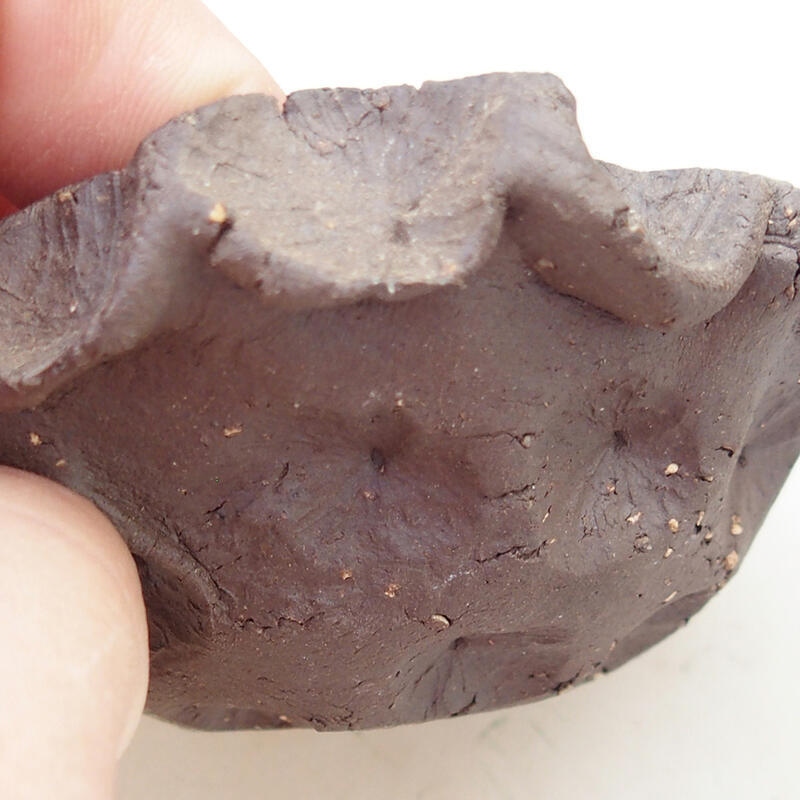 Kerámia kagyló 8,5 x 8 x 4 cm , fekete színű