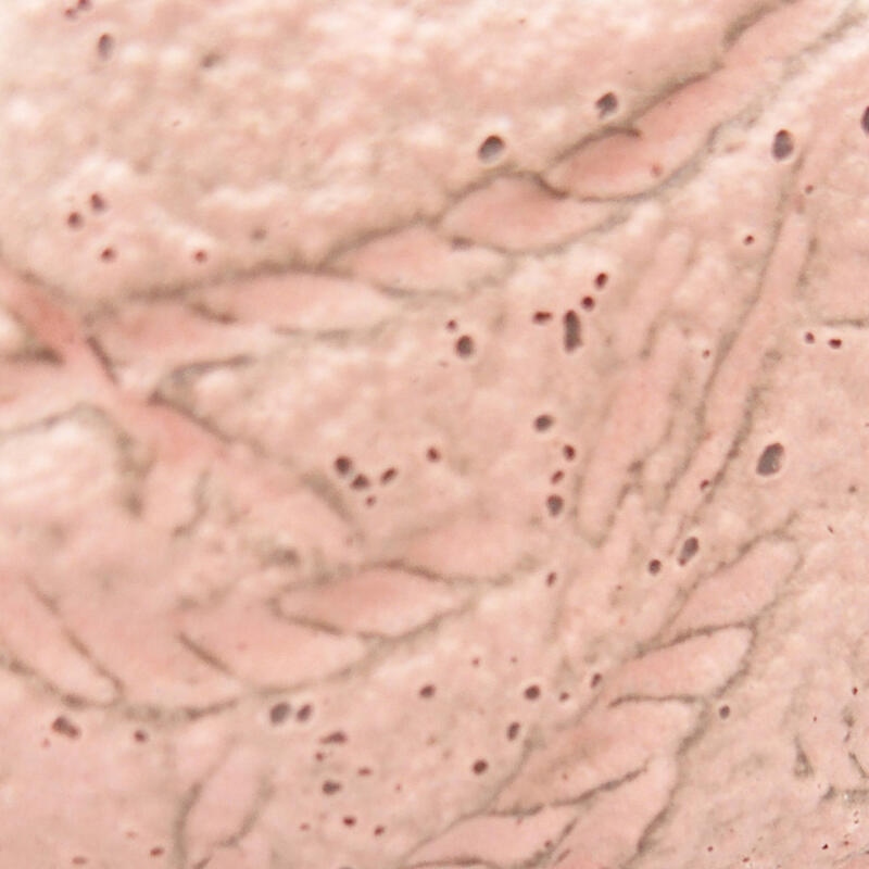 Kerámia kagyló 8,5 x 8 x 4 cm , rózsaszín színben