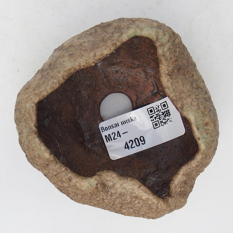 Kerámia kagyló 8,5 x 8 x 5 cm , bézs színű