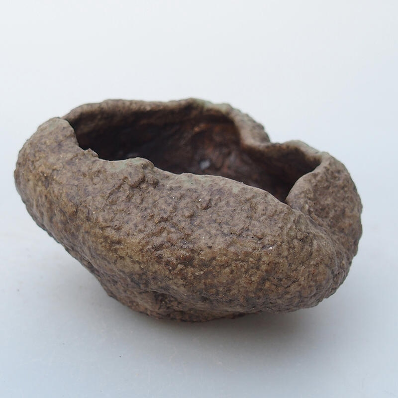 Kerámia kagyló 8,5 x 8 x 5 cm , bézs színű