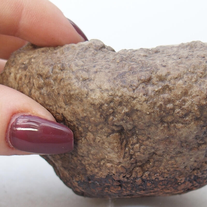 Kerámia kagyló 8,5 x 8 x 5 cm , bézs színű