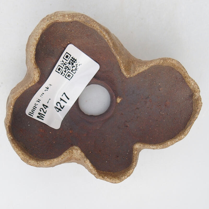 Kerámia kagyló 8 x 6 x 4,5 cm , bézs színű