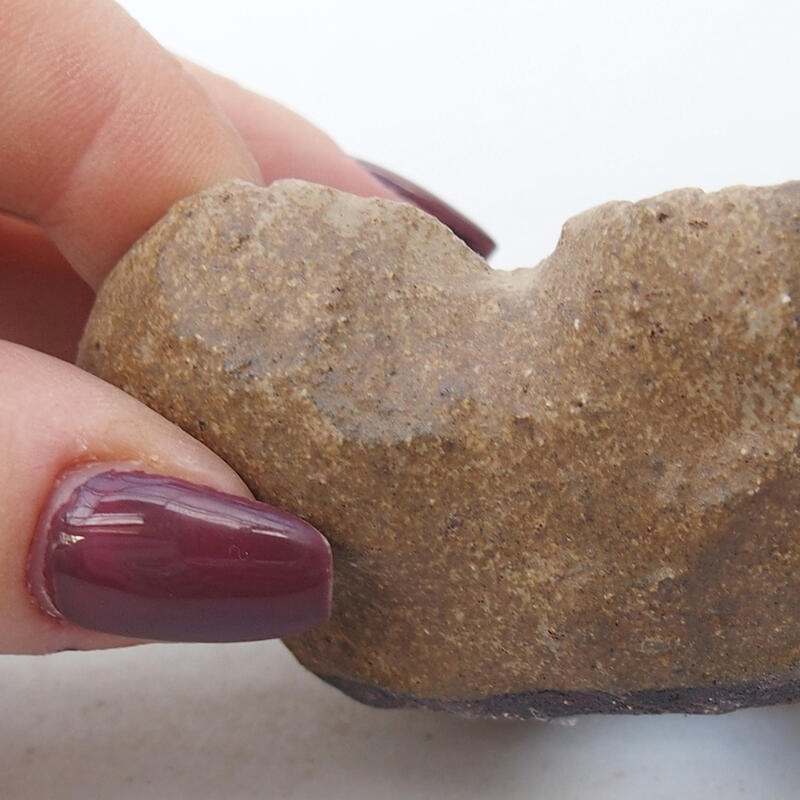 Kerámia kagyló 8 x 6 x 4,5 cm , bézs színű