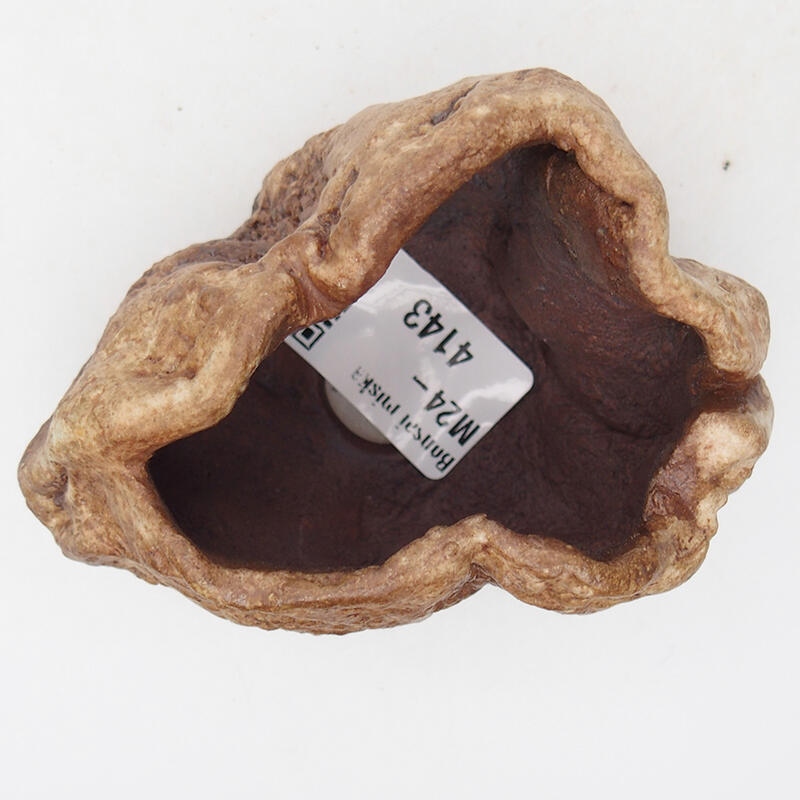 Kerámia kagyló 8 x 6 x 5 cm , barna színű