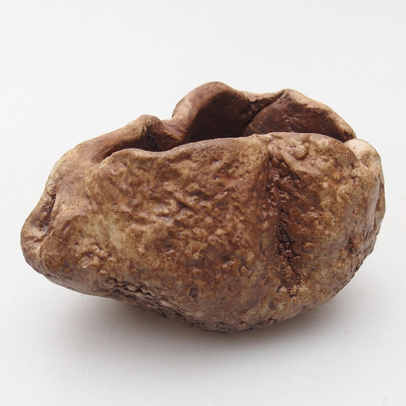 Kerámia kagyló 8 x 6 x 5 cm , barna színű