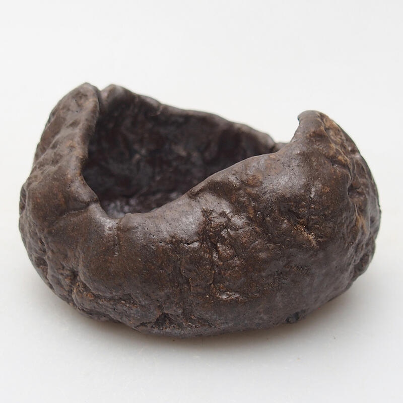 Kerámia kagyló 8 x 7,5 x 4,5 cm , barna színű